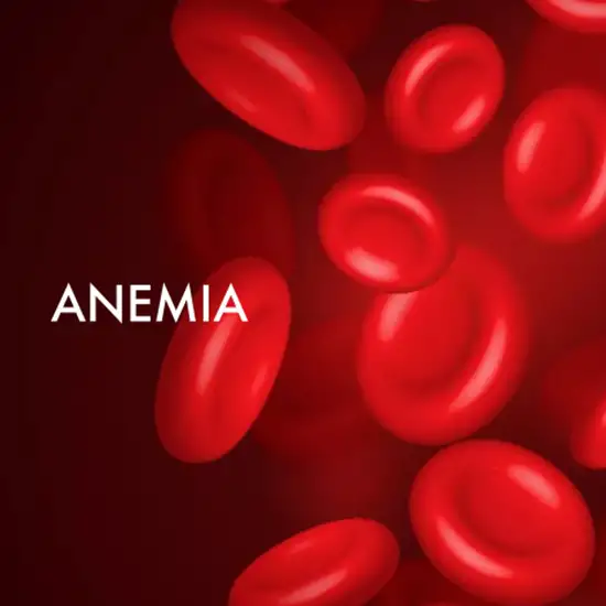 Anemia Panel 1 test